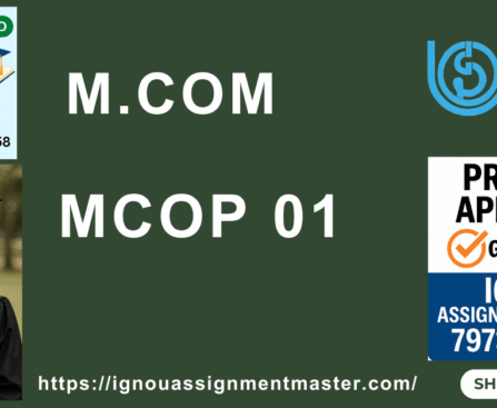 IGNOU MCOM PROJECT