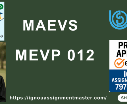 IGNOU MAEVS PROJECT