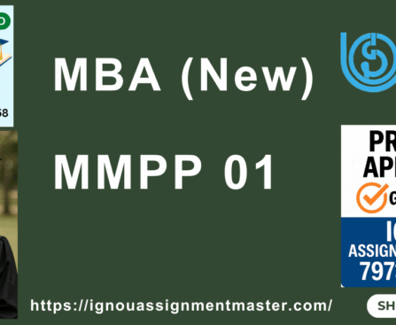IGNOU MBA PROJECT